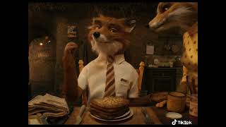 fantastic mr fox (corecore) motivation  video