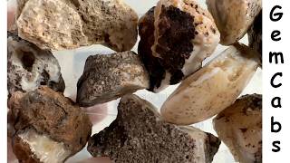 Handful of Arizona Gila Bend Mountains Area Nodules Cut Open to See What is Hiding Inside 05 23 26