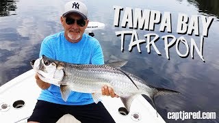 June 2017 - Clearwater Fishing Charters • Capt. Jared • 727.831.0111