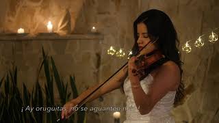 Dos Oruguitas (from Encanto)- Sebastián Yatra - Violin Cover by Natalia Leal