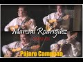 Pájaro Campana Marcial Rodriguez P J C