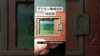 【デジモン育成日記10日目】長生き #Shorts