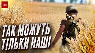 😳 Куди по-замінованому? Як на Харківщині борються за український урожай