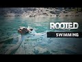 First Look at Swimming in Rooted (WIP)