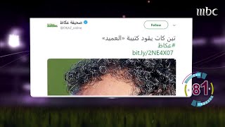 الأخبار السريعة: الاتحاد يتعاقد مع تين كات