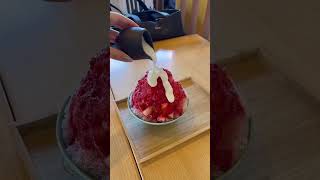 京都 かき氷🍧 KYOTO shaved ice