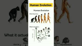 Human evolution #shorts #viralshorts #viral #foryou #science #sciencefacts #facts