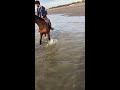 horse spooked by water bucks rider off viralhog