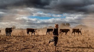 NSW invests additional $81 million for drought crippled regions