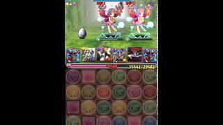 パズドラ【ROコラボ】地獄級　災禍の魔神王・サタンPT（初見）