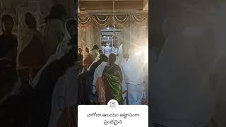 Nagoba Temple Celebration Tribel Peoples Traditional Jathara Festival Shorts Videos