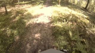 Some of my Hometrails. Grenzweg Trail Spring 2015