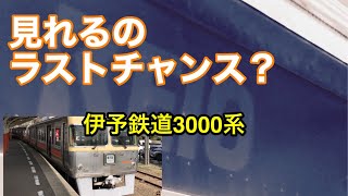 【伊予鉄道3000系の旧カラーリング】を観に行きました。愛媛の濃い〜ラーメンおじさん(2020.2.14松山市内にて)