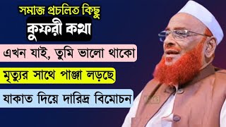 সমাজে প্রচলিত কিছু কুফুরী কথা। আল্লামা নূরুল ইসলাম ওরীপুরী। Nurul Islam Olipuri