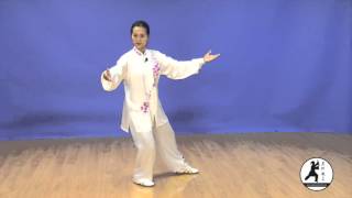 Yang-style Tai Chi 24 Form Instructional DVD taught by Master Amin Wu吳阿敏24式太極拳教程