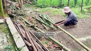 Traditional Bamboo Cutting: A Hardworking Village Artisan's Simple Life in Harmony