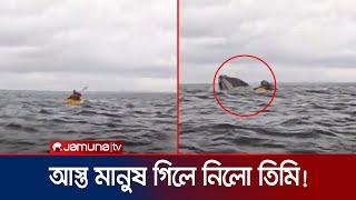 চিলিতে আস্ত নৌকাসহ যুবককে গিলে ফেললো তিমি! | Whale Swallowed Kayaker | Jamuna TV