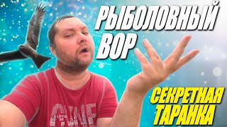 Коршун стащил улов! Как солить рыбу