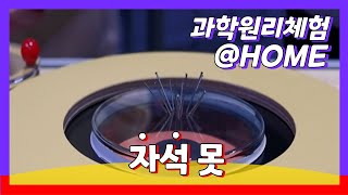 자석 못이란?😗 자석 주위의 자기력선🧲은 어떤 모습일까요?ㅣ과학원리체험@home 시즌3