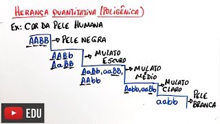 Herança quantitativa - Interação gênica