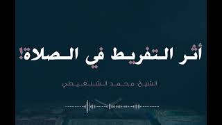 الرصيد | أثر التفريط في الصلاة يكون النتيجة كارثية | للعلامة محمد المختار الشنقيطي #أثر_تفريط_كارثية