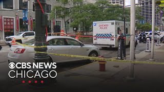 2 people stabbed in the Loop