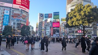 【高画質FHDお散歩ライブカメラ】渋谷　散歩　Shibuya walking【live camera】2024/12/09