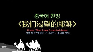 (중국어찬양): 我们渴望的耶稣 (찬송가 '오랫동안 기다리던' 중국어 버전) 중국어캐롤 圣诞诗歌