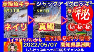 【高知県㊙️釣り情報】ネイリ、真鯛に続いて⚫️⚫️まで！コイツはヤバいくらい（笑）