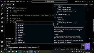 (MM) Python String.lstrip() Method Explained with Examples