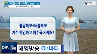 [내일의해수욕지수] 2019년 8월 11일 해수욕 지수 대체로 나쁨 / 해양예보 On바다