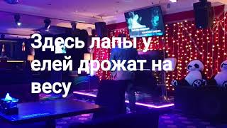 Здесь лапы у елей дрожат на весу