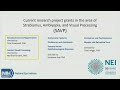 Development and Regeneration Central Visual Processing With Dr. Martha Flanders
