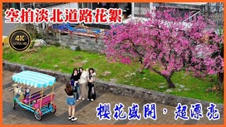 2025.02.22 空拍淡北道路花絮—在八里自行車道旁，今年的櫻花盛開，超漂亮！變成拍照、打卡景點 4K