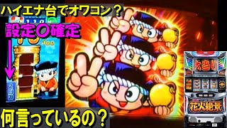 【花火絶景】設定狙い大成功！設定〇が打てました。正に絶景。【祭り】