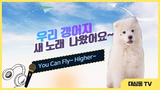 11.17일 방송/시사정보프로그램에 강다니엘 새노래/ fly