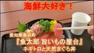 愛知県美浜町『魚太郎 旨いもの屋台』 ネギトロと天然まぐろ丼