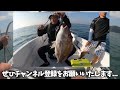 【救助動画】鳥を釣ってしまった時の対処方法。できるだけダメージを与えないための救助法はコレ！玄海灘プレジャーボートでの釣り【釣りング】