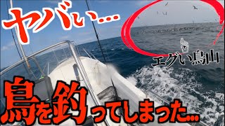 【救助動画】鳥を釣ってしまった時の対処方法。できるだけダメージを与えないための救助法はコレ！玄海灘プレジャーボートでの釣り【釣りング】