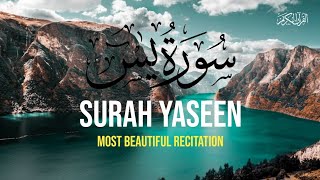 Surah yasin سورۃ یٰس | Surah Yaseen Beautiful voice @ToorStudio33