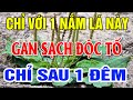 Bác Sỹ Mách Bạn Loại Lá Cực Tốt Cho Sức Khỏe, Gan Hết Sạch Độc Tố Chỉ Sau 1 Đêm,  Sống Khỏe Tới Già