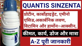 QUANTIS SYNZENTA//Quantis plant growth regular//Quantis tonic //Quantis Sinzenta ki puri jankariq