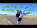 Maiden Flight - Freewing F-86 Sabre 80mm RC EDF Jet