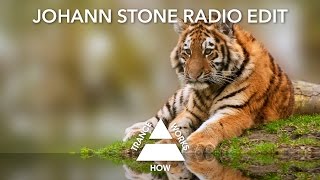 Talla 2xlc \u0026 Sarah Russell - Build These Walls ( Johann Stone Radio Edit)