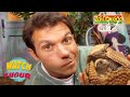 🐘 Zoboomafoo with the Kratt Brothers! HD | Full Episodes Compilation 🐘