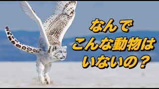 不可能な進化！｜なぜ車輪のついた動物や、羽がついた類人猿はいないの？