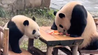 Xiao Wu and his mother eat fruits小五和妈妈吃水果