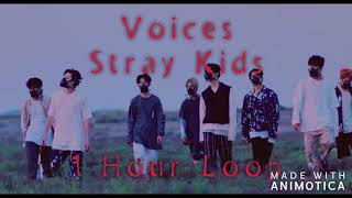 Voices by Stray Kids 1 Hour Loop