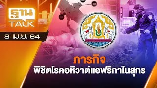 ภารกิจ พิชิตโรคอหิวาต์แอฟริกาในสุกร | EXCLUSIVE IN BRIEF | THAN TALK | 8 เม.ย.64