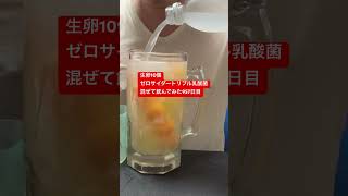 生卵10個ゼロサイダートリプル乳酸菌混ぜて飲んでみた957日目